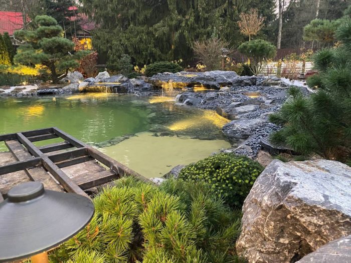 pond1-2