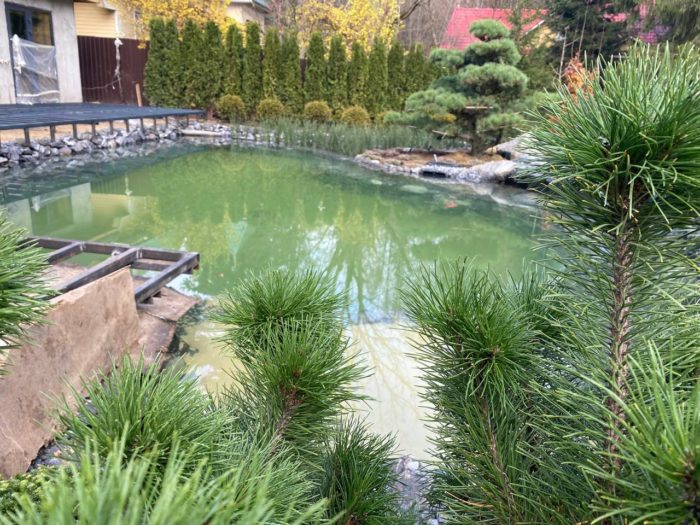 pond1-6