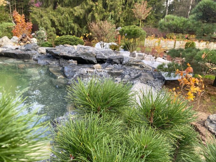pond1-7