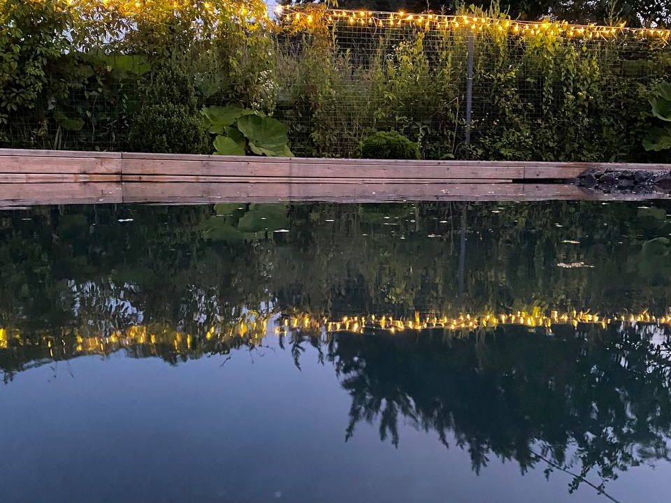 pond2-3