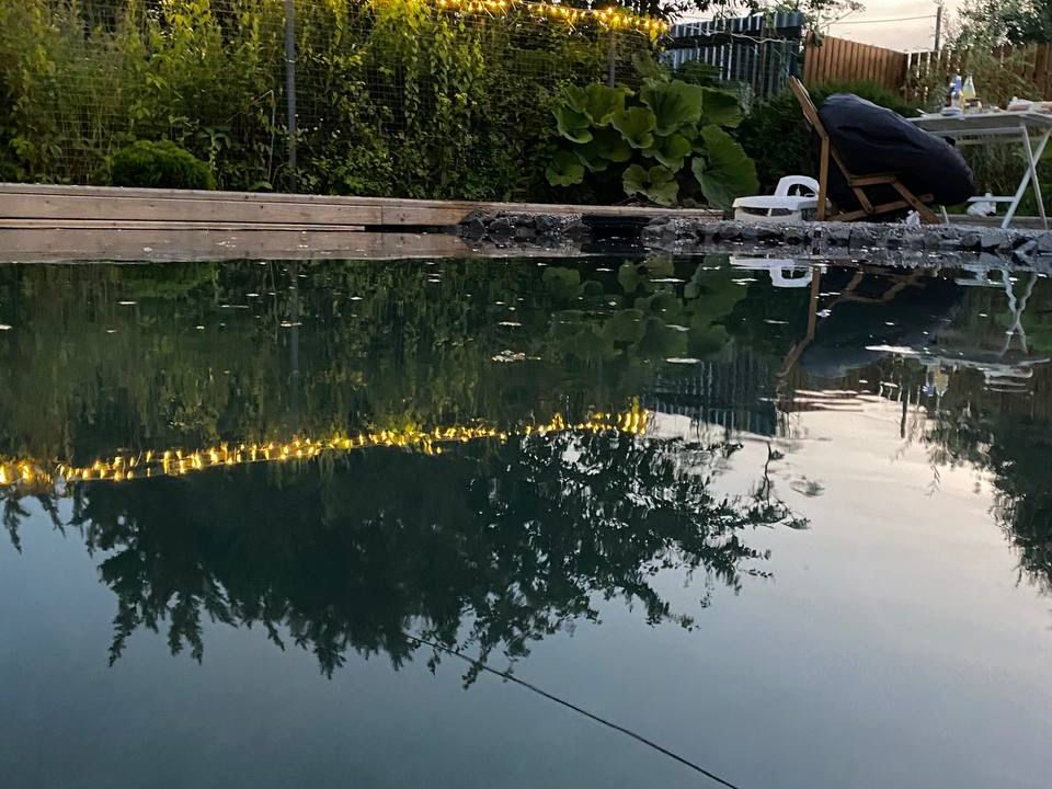 pond2-6
