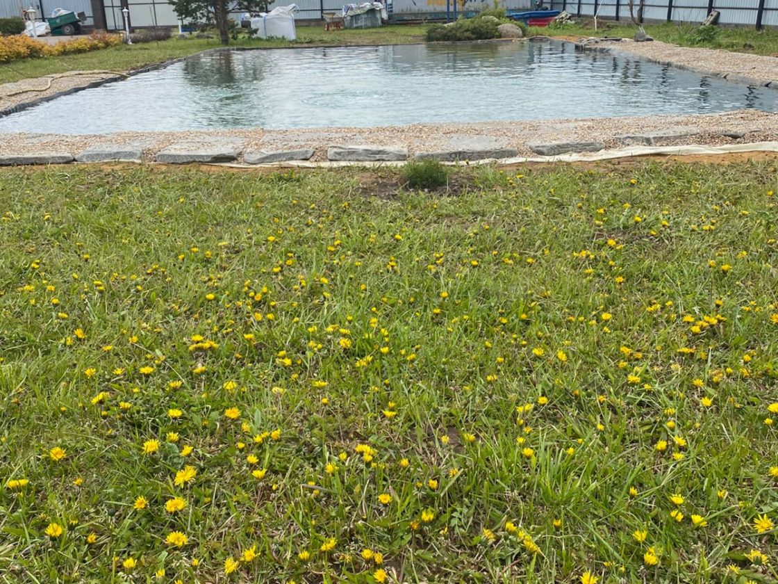pond3-5